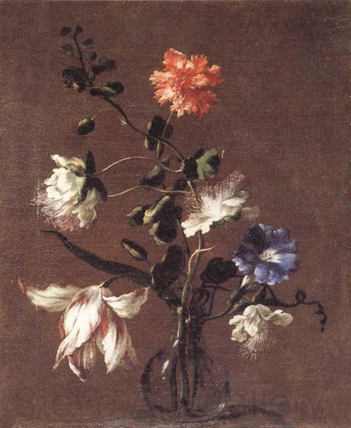 Mario Dei Fiori Theee Caper Flower,a Carnation,a Bindweed,and a Tulip Spain oil painting art